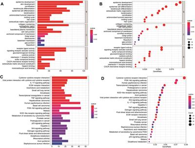 Developing a pyroptosis-related gene signature to better predict the prognosis and immune status of patients with head and neck squamous cell carcinoma